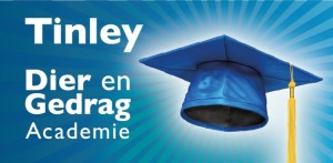 Tinley Academie